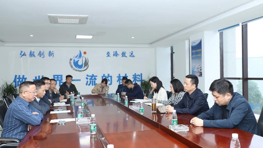 Hu Xiaogang, Director of the Management Committee of Hengyang National High tech Zone, led a team to our company for on-site office work